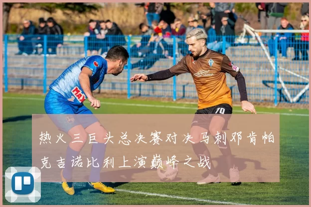 热火三巨头总决赛对决马刺邓肯帕克吉诺比利上演巅峰之战