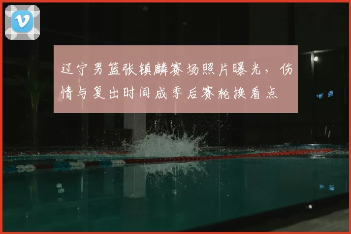 辽宁男篮张镇麟赛场照片曝光,伤情与复出时间成季后赛轮换看点