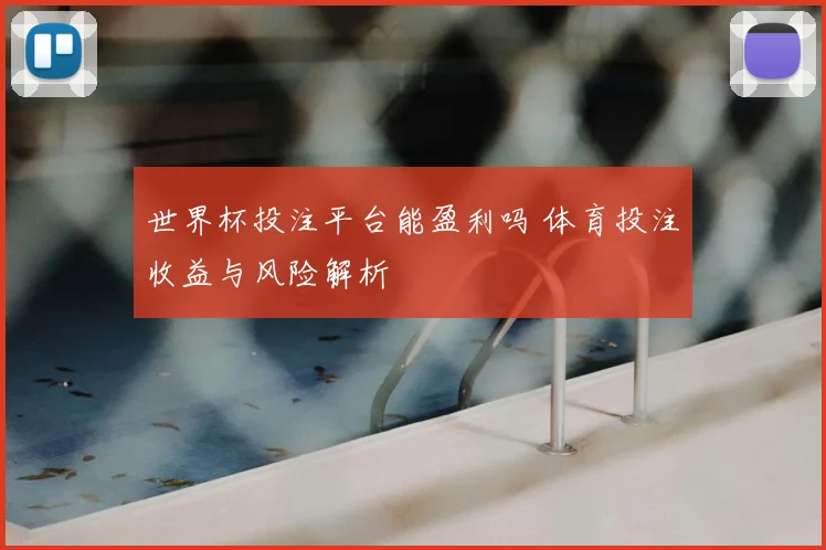 世界杯投注平台能盈利吗 体育投注收益与风险解析