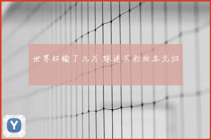 世界杯输了几万 球迷买彩血本无归