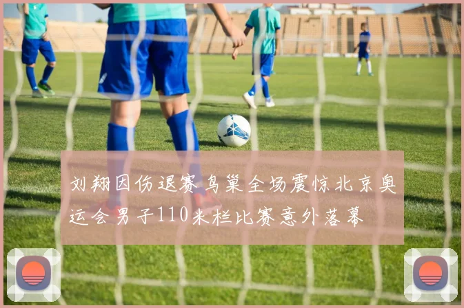 刘翔因伤退赛鸟巢全场震惊北京奥运会男子110米栏比赛意外落幕