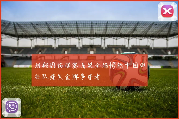 刘翔因伤退赛鸟巢全场愕然中国田径队痛失金牌争夺者