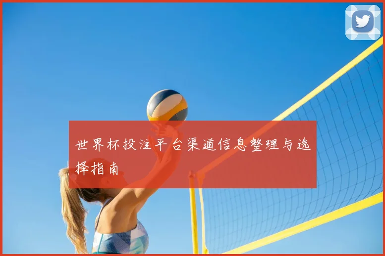 世界杯投注平台渠道信息整理与选择指南