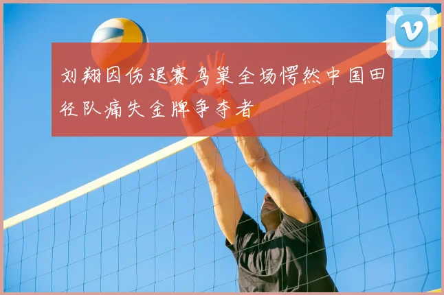 刘翔因伤退赛鸟巢全场愕然中国田径队痛失金牌争夺者